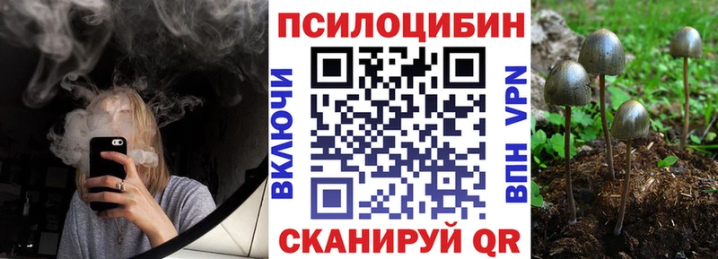 Псилоцибиновые грибы мухоморы  сколько стоит  Болхов 
